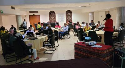 Atelier SERVInnov Yaound&eacute; &copy;L Temple, Cirad